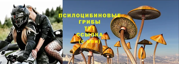 a pvp Краснотурьинск