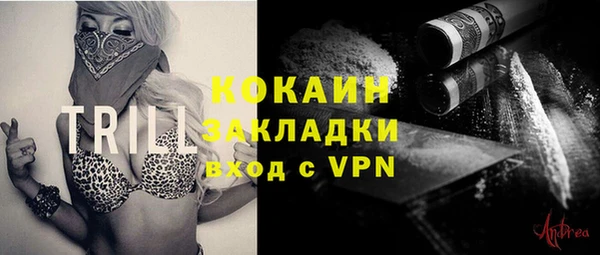 прущие грибы Волосово