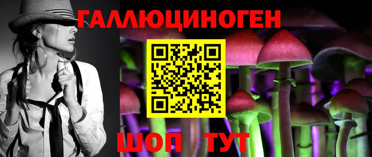 Галлюциногенные грибы Psilocybine cubensis  Галлюциногенные грибы прущие грибы  Нефтеюганск  Вход с VPN 